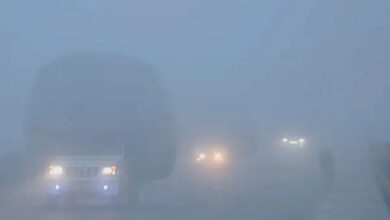 Photo of समूचे उत्तर भारत में शीतलहर कहर जारी, अभी दो दिनों तक नहीं मिलेगी राहत