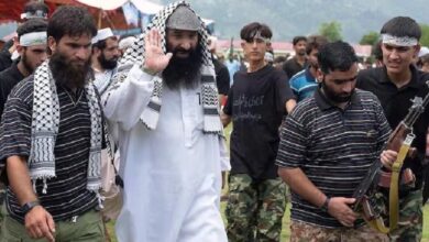 Photo of पाकिस्तान में खुलेआम घूमता दिखा आतंकी सलाउद्दीन, FATF ने जाहिर की नाराजगी