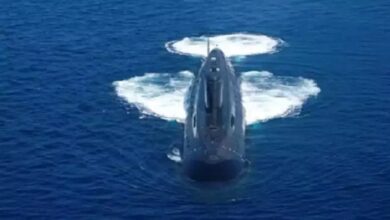 Photo of दक्षिणी चीन सागर को लेकर भारत ने उठाया बड़ा कदम, तैनात की सबमरीन INS सिंधुकेसरी