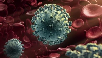 Photo of डरा रहे हैं दुनिया में तेजी से बढ़ रहे कोरोना के मामले, WHO ने भी चेताया