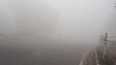 Photo of कोहरे की चादर में एक्सप्रेस-वे गुम, विजिबिलिटी 10 मीटर; ऑरेंज अलर्ट जारी