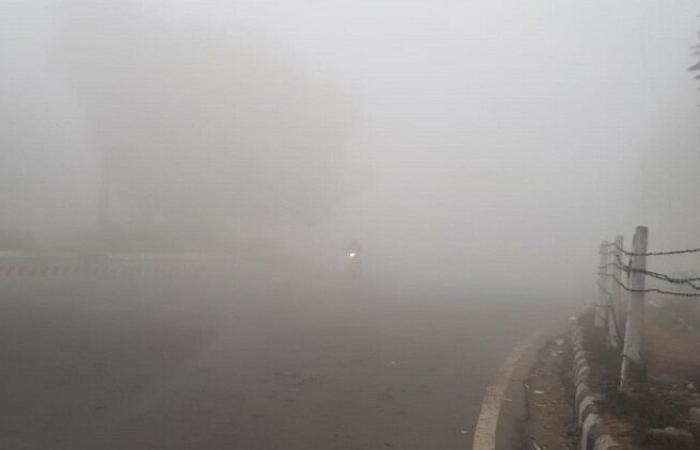 Dense Fog in Delhi NCR