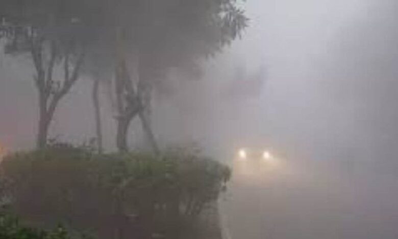 Entire North India in the grip of cold wave