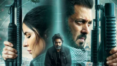 Photo of इस OTT प्लेटफॉर्म पर रिलीज हुई सलमान की टाइगर 3, जानें कहां हो रही स्ट्रीम