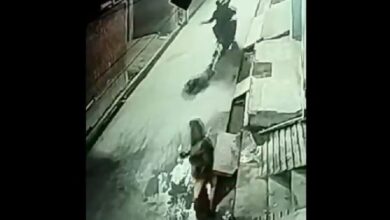 Photo of नोएडा: खौफनाक तरीके से हत्या के आरोपी पुलिस मुठभेड़ में घायल, कल हुई थी घटना