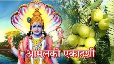 Photo of आमलकी एकादशी पर इस विधि से करें आंवले के पेड़ की पूजा, दूर होंगे सभी दु:ख-दर्द
