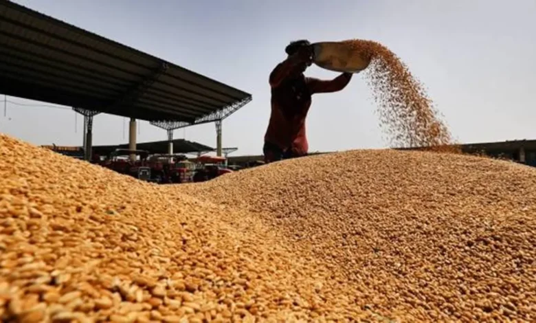 wheat purchase will start in UP from today