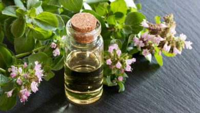 Photo of Oregano की थोड़ी सी मात्रा कोलेस्ट्रॉल व डायबिटीज जैसी कई समस्याओं में है फायदेमंद