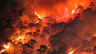 Photo of उत्तराखंड: पानी की बौछारों से मिली कुछ राहत, अब तक 1520 हेक्टेयर जंगल जला