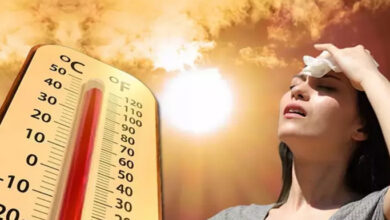 Photo of पहाड़ से मैदान तक आसमान से बरस रही आग, यूपी में 170 लोगों ने गंवाई जान