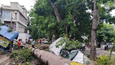 Photo of लखनऊ में बदला मौसम, बारिश के साथ आंधी ने मचाई तबाही; कई इलाकों में गिरे पेड़