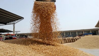 Photo of कीमत पर अंकुश लगाने को गेहूं बेचेगा केंद्र, 12 फीसदी सस्ते मूल्य पर FCI को दी अनुमति