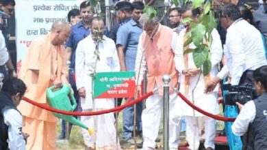 Photo of CM योगी ने शुरू किया पौधरोपण जन अभियान, रिकॉर्ड 36.50 करोड़ पौधे लगाने पर नजर