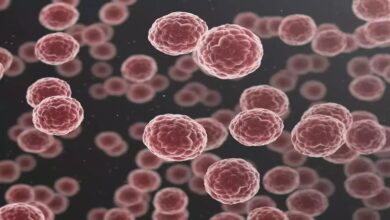 Photo of कैंसर का सबसे गंभीर प्रकार है ब्लड कैंसर, इन 5 संकेतों को कभी न करें नजरंदाज़