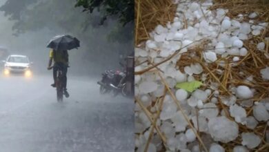 Photo of बारिश-ओले के साथ सर्दी का डबल अटैक, दिल्ली-यूपी में हो रही बूंदाबांदी; किसानों के लिए एडवाइजरी