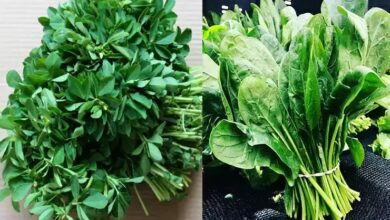 Photo of सर्दियों में डाइट में जरूर शामिल करें ये 4 सब्जियां, बीमारियों से कोसों रहेंगे दूर