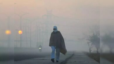 Photo of शीतलहर की चपेट में समूचा उत्तर भारत , दिल्ली-यूपी समेत कई राज्यों में छाया कोहरा