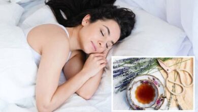 Photo of सोने से एक घंटा पहले पिएं ये 5 हर्बल ड्रिंक्स, अच्छी नींद के साथ मिलेंगे और भी फायदे