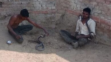 Photo of शाहजहांपुर: सांप को पकड़कर गले में डाला, फोटो खिंचवाए; फिर डसने से युवक की मौत