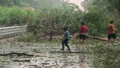 Photo of यूपी में आंधी-बारिश का कहर, कहीं दीवार गिरी तो कहीं छप्पर उड़े; अवध क्षेत्र में 10 की मौत