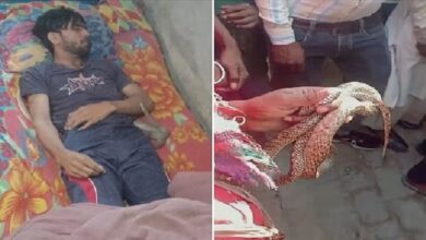 Photo of 25 साल के इस युवक को सांप ने 10 बार डसा, कमरे का मंजर देख सहम गए परिजन