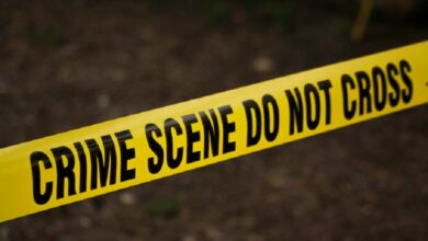 Photo of घर-खेत में गड्ढों में दबे थे पांच करोड़; खोदाई में निकली रकम देख चौंकी पुलिस; जानें मामला