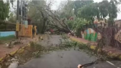 Photo of आंधी और बारिश से NCR में तबाही, गाजियाबाद-गौतमबुद्ध नगर में 4 की मौत
