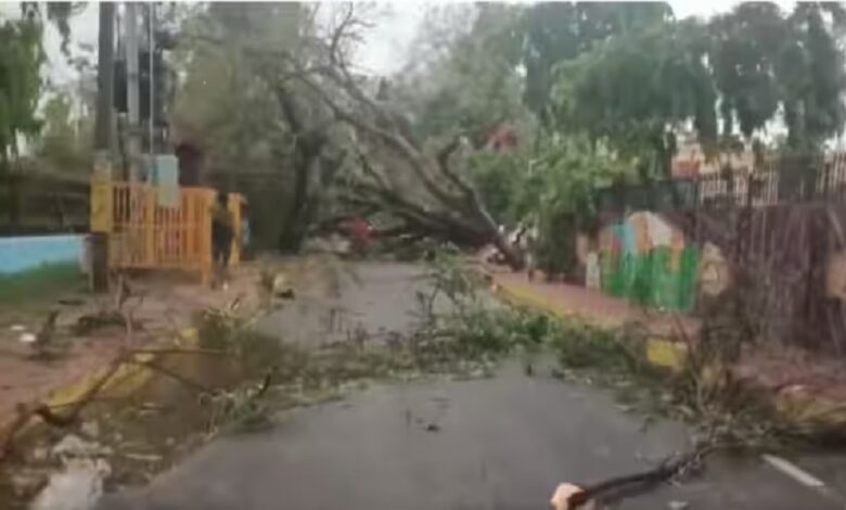 Storm and rain wreak havoc in NCR