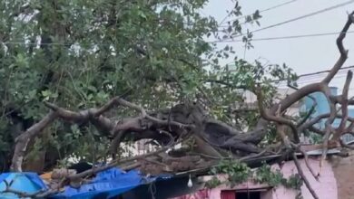 Photo of दिल्ली में आंधी-तूफान का कहर, मकान पर पेड़ गिरने से चार की मौत; फ्लाइट्स प्रभावित
