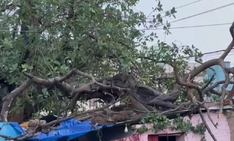 Storm wreaks havoc in Delhi