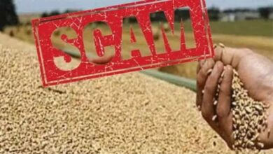 Photo of यूपी खाद्यान्न घोटाला: एक आधार पर 100 लोगों को बांटा राशन, नाबालिगों के नाम पर भी लूट