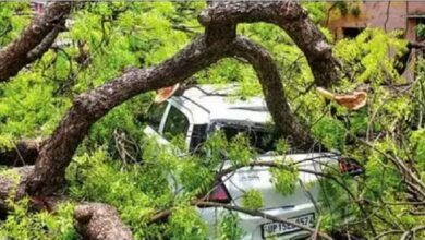 Photo of यूपी में आंधी-बारिश से तबाही; 51 लोगों की मौत, पेड़ उखड़े; बिजली आपूर्ति प्रभावित