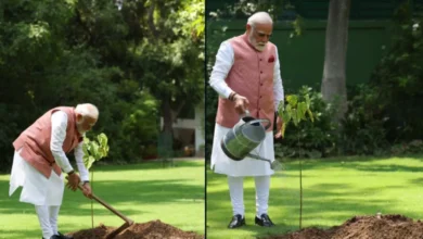 Photo of ‘नारीशक्ति के शौर्य और प्रेरणा…’, PM मोदी का कच्छ की बहनों को तोहफा; अपने आवास पर लगाया सिंदूर का पौधा