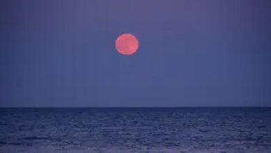 Photo of भारत में आज दिखाई देगा स्ट्रॉबेरी मून, गुलाबी नहीं फिर क्यों दिया गया ये नाम?