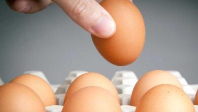 Photo of हड्डियों को ताउम्र रखना है मजबूत, तो रोज खाना शुरू कर दें इतने अंडे