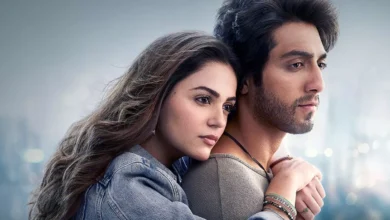 Photo of चौथे सोमवार को शांत हुई ‘सैयारा’, 25वें दिन रही अब तक की सबसे कम कमाई