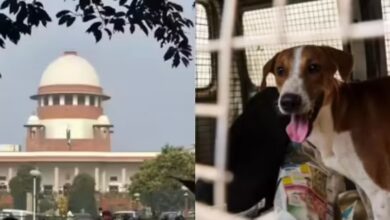Photo of ‘विवाद नहीं, समाधान चाहते हैं..’; आवारा कुत्तों के मामले में SC ने सुरक्षित रखा फैसला