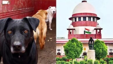 Photo of डॉग लवर्स को मिलेगी राहत या फिर झटका, आवारा कुत्तों पर आज ‘सुप्रीम’ सुनवाई