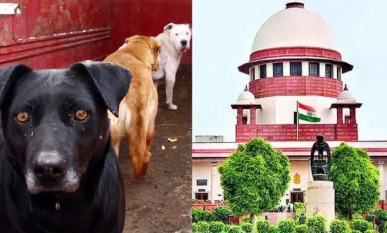 Supreme Court hearing on stray dogs today