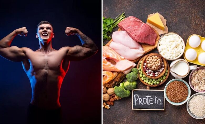 harmful effects of excess protein intake