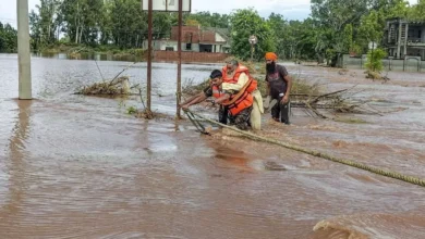 Photo of पंजाब-हिमाचल और राजस्थान में बाढ़ का तांडव जारी, दिल्ली से यूपी तक भारी बारिश का अलर्ट