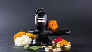 Photo of शारदीय नवरात्र में शिवलिंग पर चढ़ाएं ये चीजें, बरसेगी महादेव की कृपा