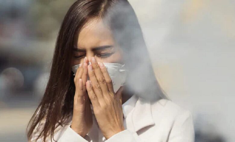 Air Pollution Effects on Heart