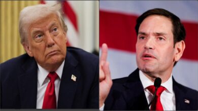 Photo of ट्रंप का दावा- पश्चिम एशिया में कुछ दिनों में आ जाएगी शांति, बोले- अद्भुत है योजना