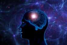 Photo of सुबह उठते ही करें ये 4 काम, तेज होगा दिमाग; स्ट्रेस और एंग्जायटी भी रहेंगे दूर