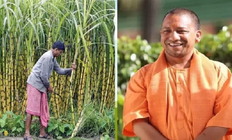 Yogi government's big gift to sugarcane farmers
