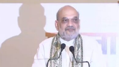 Photo of कांग्रेस की वजह से सरदार पटेल को भारत रत्न मिलने में हुई 41 साल देरी: अमित शाह