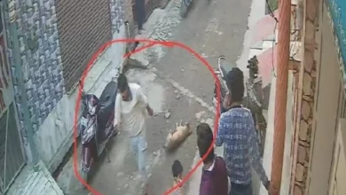 Photo of यूपी में ईंट से कूचकर कुत्ते की बेरहमी से हत्या, रस्सी से बांध कर शव गली में घसीटा; CCTV में कैद हुआ खौफनाक मंजर